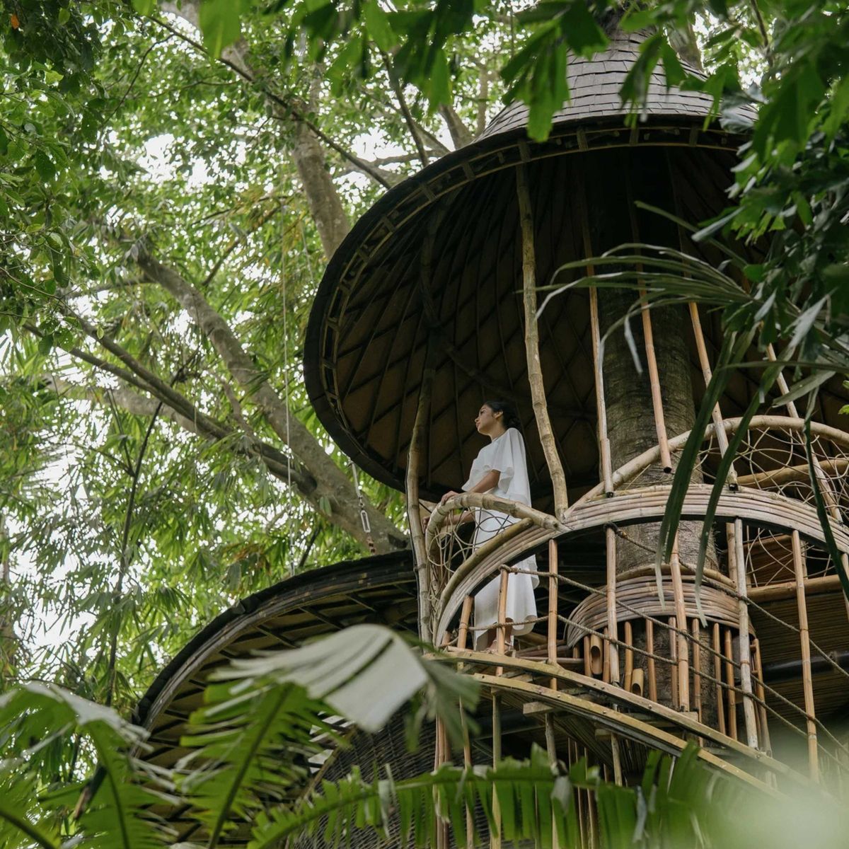 Bambu Indah slide