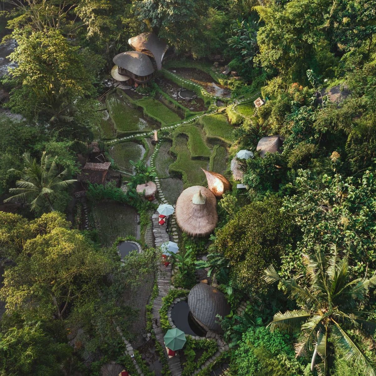 Bambu Indah slide